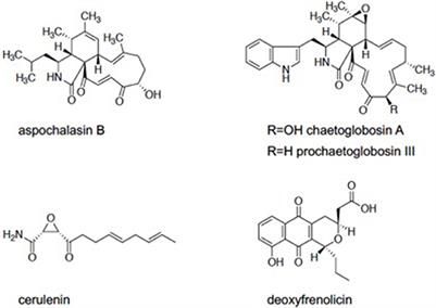 Discovery of Antiamebic Compounds That Inhibit Cysteine Synthase From the Enteric Parasitic Protist Entamoeba histolytica by Screening of Microbial Secondary Metabolites